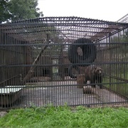 Minsk Zoo