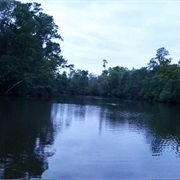Biloxi River