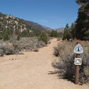 Pacific Crest National Scenic Trail