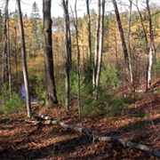 Tula Lake State Natural Area, Wisconsin
