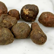 Kaffir Potato (Plectranthus Esculentus)