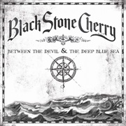 All I'm Dreamin of Black Stone Cherry