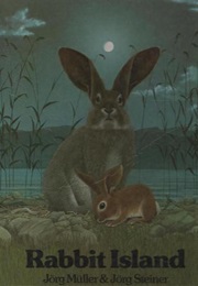 Rabbit Island (Jörg Steiner,)