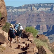 Explore the Grand Canyon