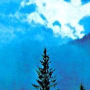 Drudkh - Microcosmos