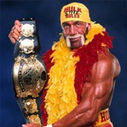 Hollywood Hulk Hogan