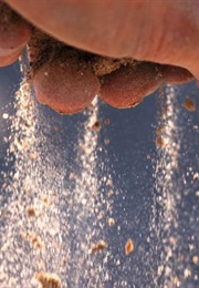 A Dream Within a Dream (Edgar Allan Poe)