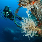 Charlie Brown, St. Eustatius