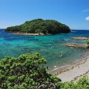 Goat Island Marine Reserve, New Zealand