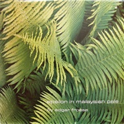Edgar Froese - EPsilon in Malaysian Pale (1975)