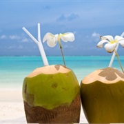 Fresh Coconut Water