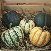 Heart of Gold Squash