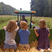 Drive With a Hay Wagon
