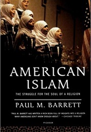 American Islam: The Struggle for the Soul of a Religion (Paul M. Barrett)