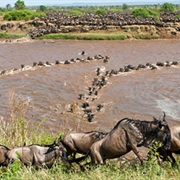 Serengeti National Park