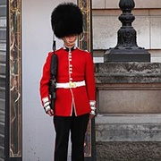 Palace Guard