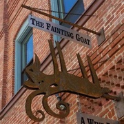 The Fainting Goat