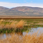 Cokeville Meadows National Wildlife Refuge