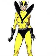Yellowjacket