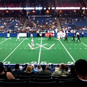 Attended an Arena Football Game