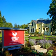 Heyday Farm (Bainbridge Island, Washington)