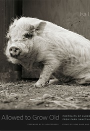 Allowed to Grow Old (Isa ­Leshko)