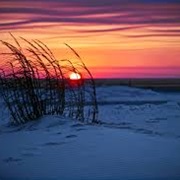 Watch the Sunset on Dauphin Island, AL