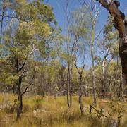 Bulleringa National Park (QLD)