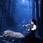 Play Violin in the Woods at Night