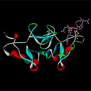 Oxytocin Produced (1954)