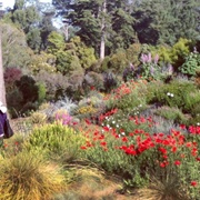 SF Botanical Garden