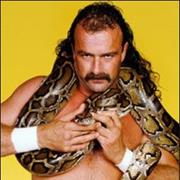 Jake Roberts