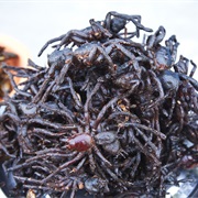 Fried Tarantula