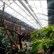 London Zoo Birdhouses