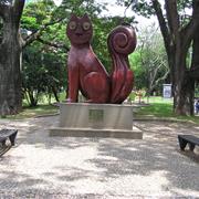 El Gato Del Rio - Cali