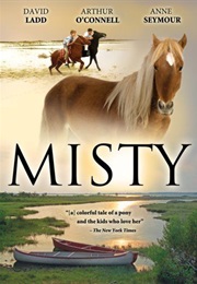 Misty (2008)