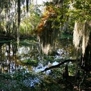 Jean Lafitte National Historical Park and Preserve