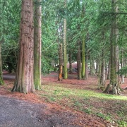 Walnut Grove, Washington