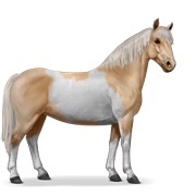 Chincoteague Pony - Palomino Tobiano
