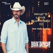 What's Love Supposed to - Derek Anthony (F/ Holly Tucker)