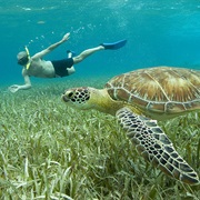 Belize Cayes &amp; Marine Reserve