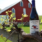 Galena Cellars Vineyard & Winery, Geneva
