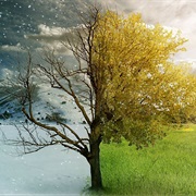 Experience the Hottest & Coldest Climates on Earth