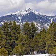 Humphrey's Peak, Arizona
