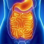 Intestinal Disorder
