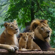 Paignton Zoo, England