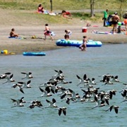 Lake Elmo State Park, Montana