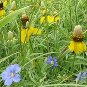 Stewart Lake National Wildlife Refuge