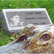 Steve Irwin (Beerwah, Australia)