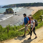 Camino De Santiago